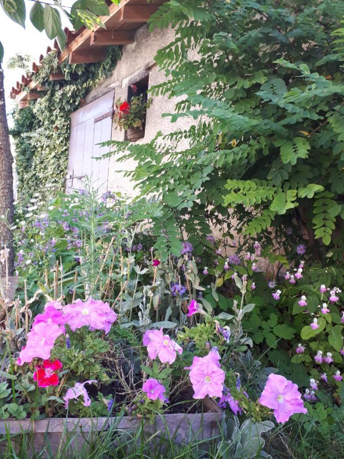 Bed and Breakfast L'Orme-Vial Saint-Galmier Esterno foto