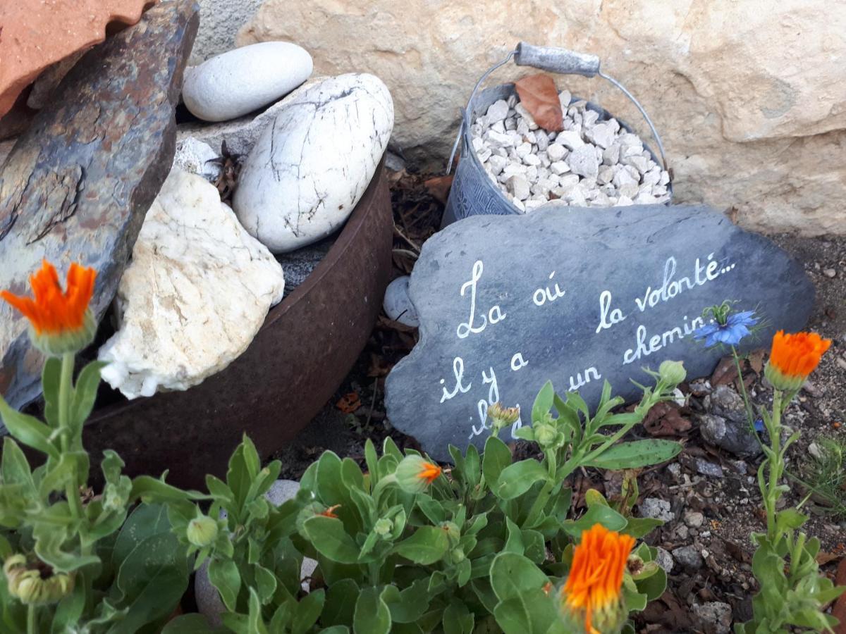 Bed and Breakfast L'Orme-Vial Saint-Galmier Esterno foto
