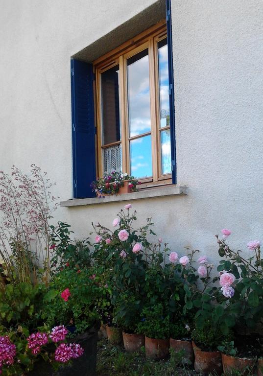 Bed and Breakfast L'Orme-Vial Saint-Galmier Esterno foto